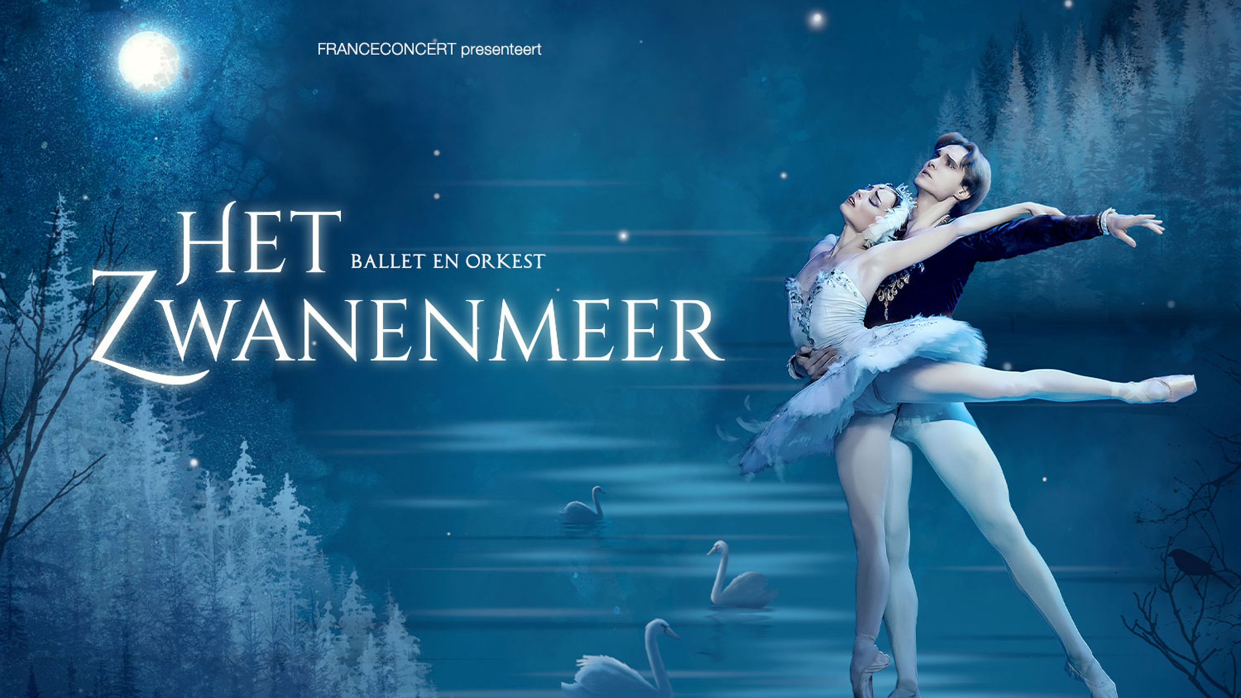 Swan Lake Ballet: Amsterdam's Ultimate Dance Spectacle