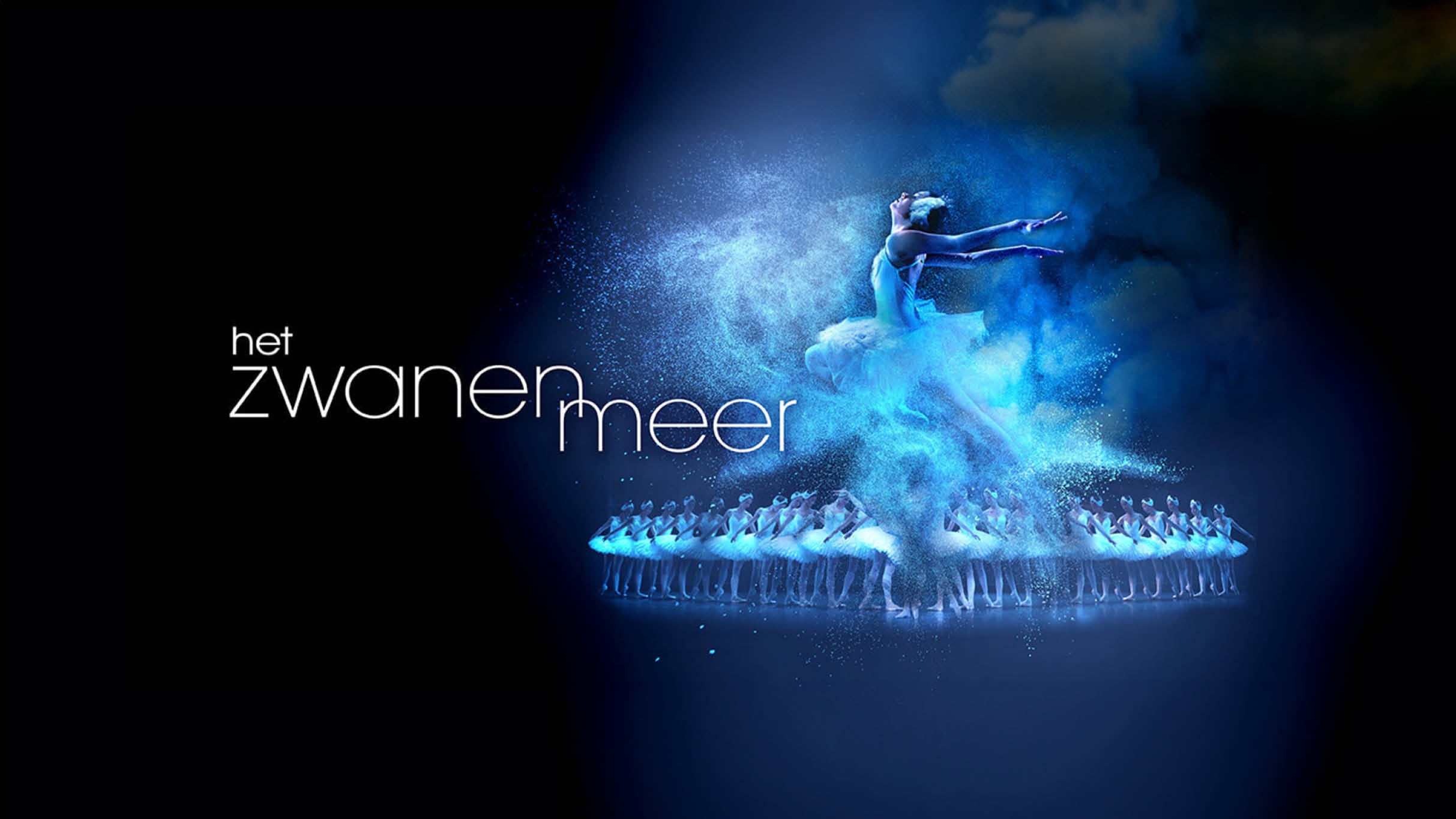 Belfort Ballet: See Swan Lake at MAISON DU PEUPLE