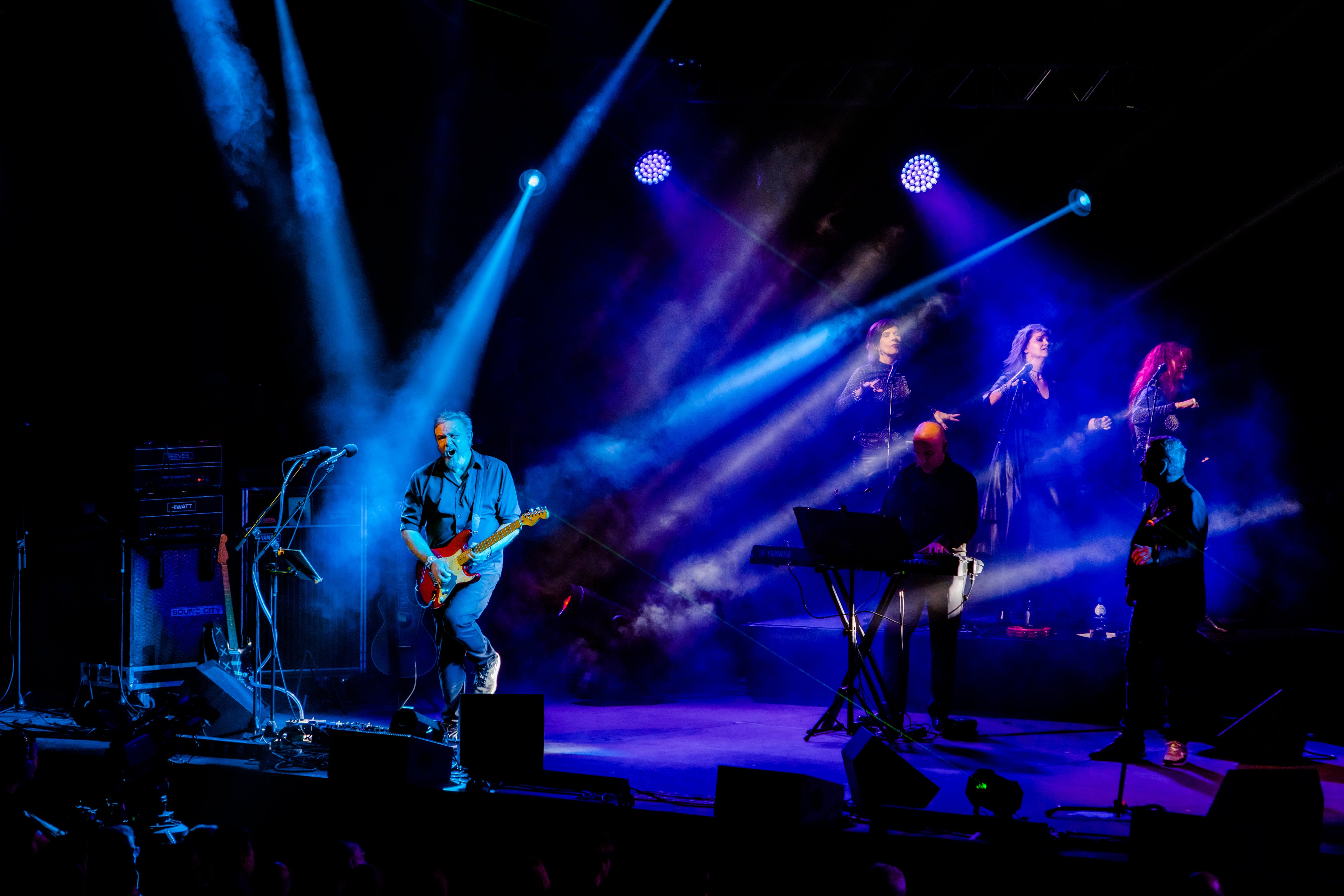 Floyd's Story Returns: Pink Project in Groningen!